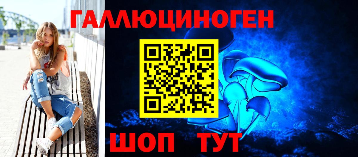 Псилоцибиновые грибы Psilocybe Каменск-Уральский